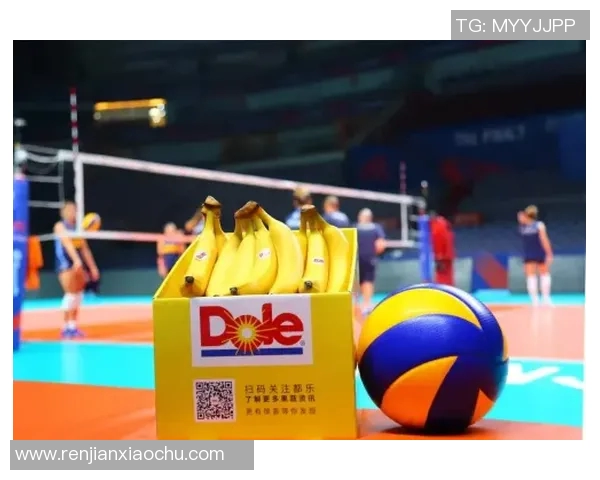 北京排球队的训练与比赛状态全景揭秘助力排球巨献的背后故事